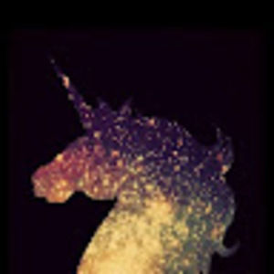 Meet your Posher, Rose